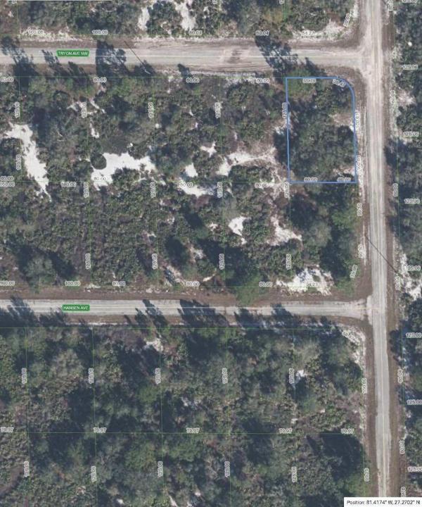 100 Tryon NW Avenue, Lake Placid, Florida 33852, Stati Uniti