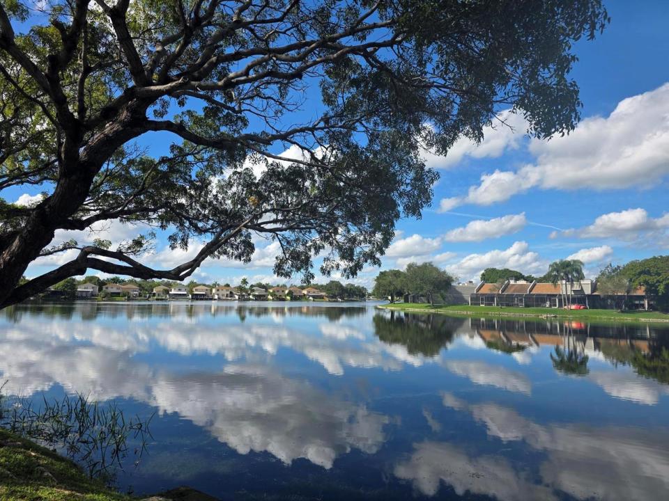 1001 Colony Point Circle 405, Pembroke Pines, Florida 33026, Stati Uniti