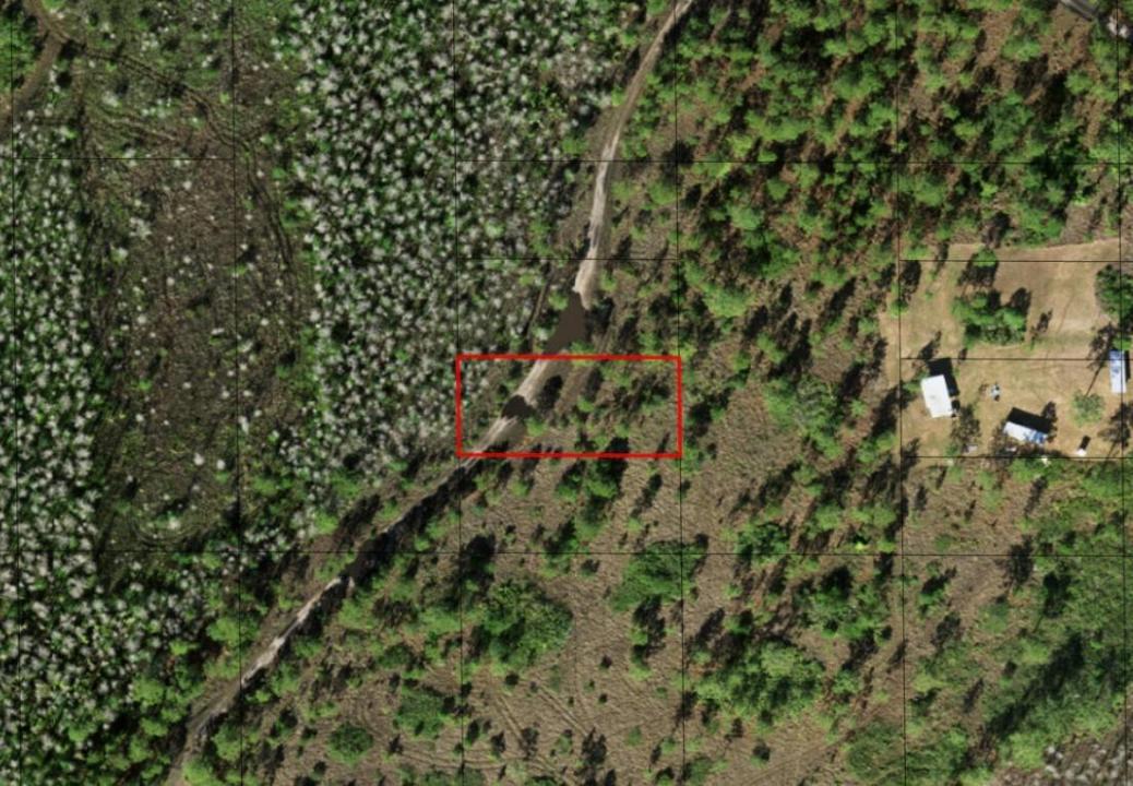 0 Holopaw Groves Road, Floride 34772, États-Unis