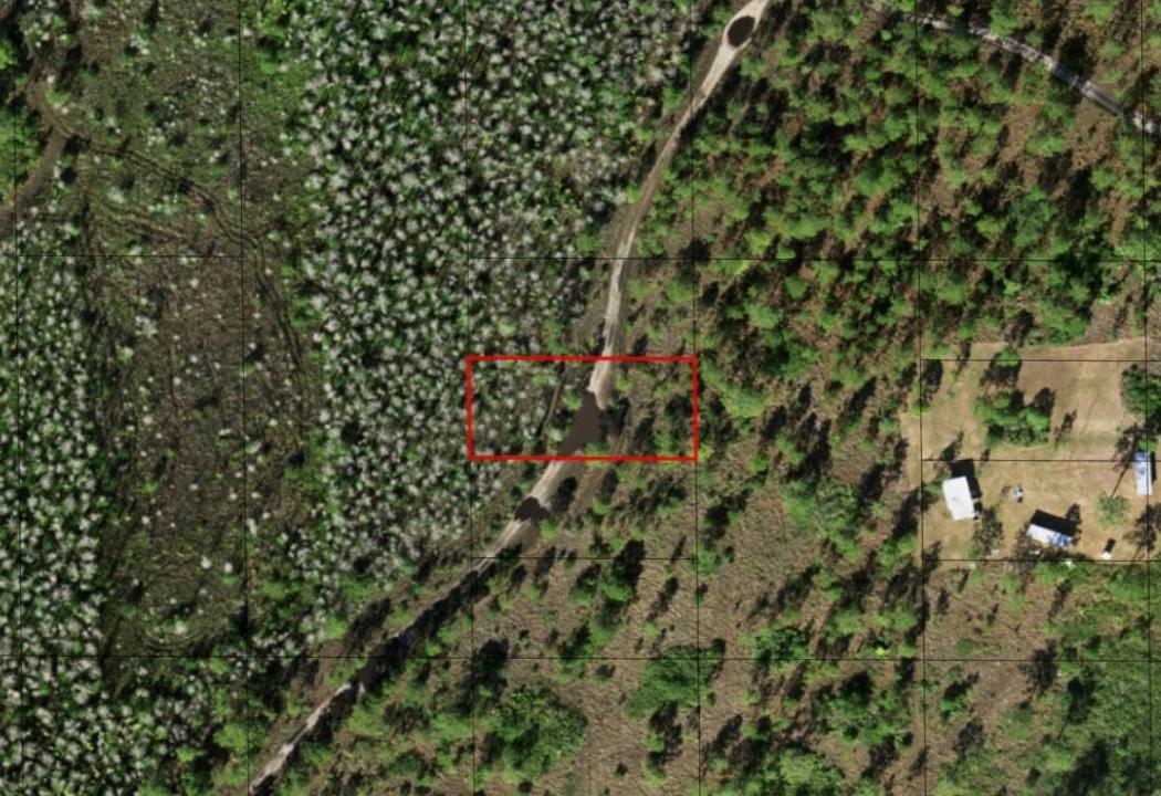 0 Holopaw Groves Road, Floride 34772, États-Unis
