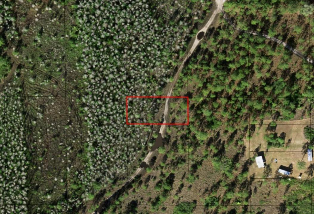0 Holopaw Groves Road, Florida 34772, USA