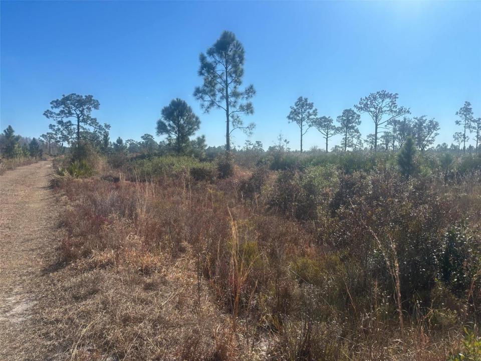 0 Xeriscape Nursery Road, Frostproof, Floride 33898, États-Unis