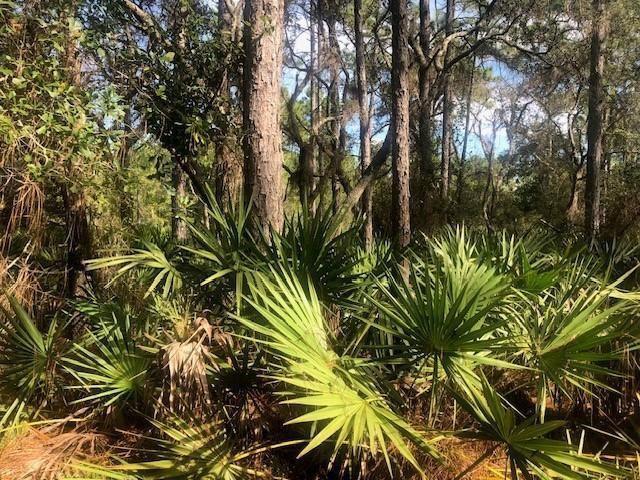 0 Old Grade Road, Flórida 33868, Estados Unidos