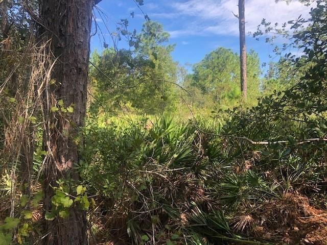 0 Old Grade Road, Floride 33868, États-Unis