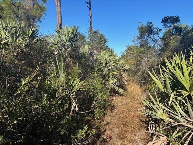 42260 93rd Avenue, Vero Beach, Florida 32966, Stati Uniti