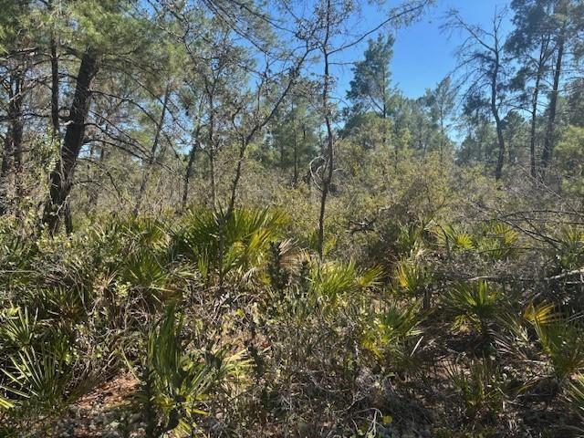 10681 Interlacher Drive, Sebring, Florida 33852, Stati Uniti