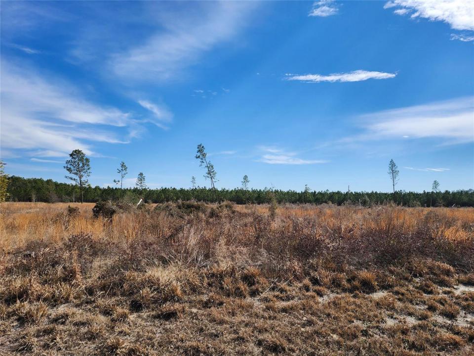 Lot 50 Fl-50, Florida 32060, Stati Uniti
