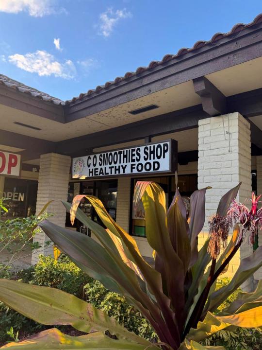 3111 45th Street, West Palm Beach, Florida 33407, Stati Uniti