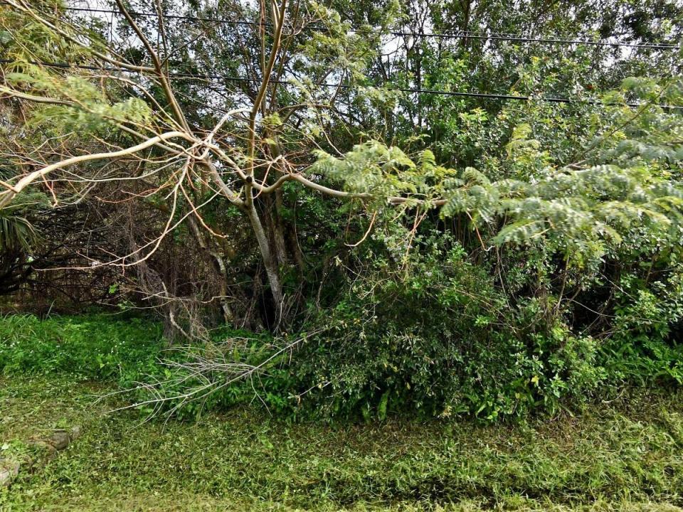 2516 Rolyat Street, Fort Pierce, Florida 34947, USA