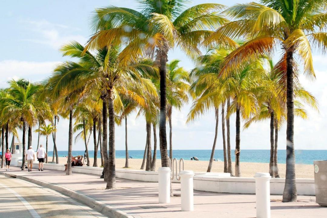 1160 N Federal Highway 1118, Fort Lauderdale, Florida 33304, Stati Uniti