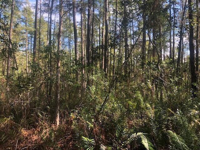 0 Old Grade Road, Floride 33868, États-Unis