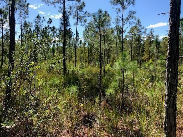 0 Old Grade Road, Flórida 33868, Estados Unidos