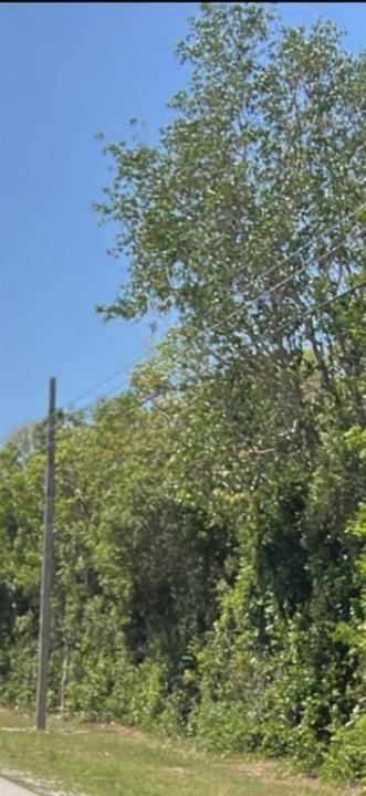 Card Ound Road, Homestead, Floride 33035, États-Unis
