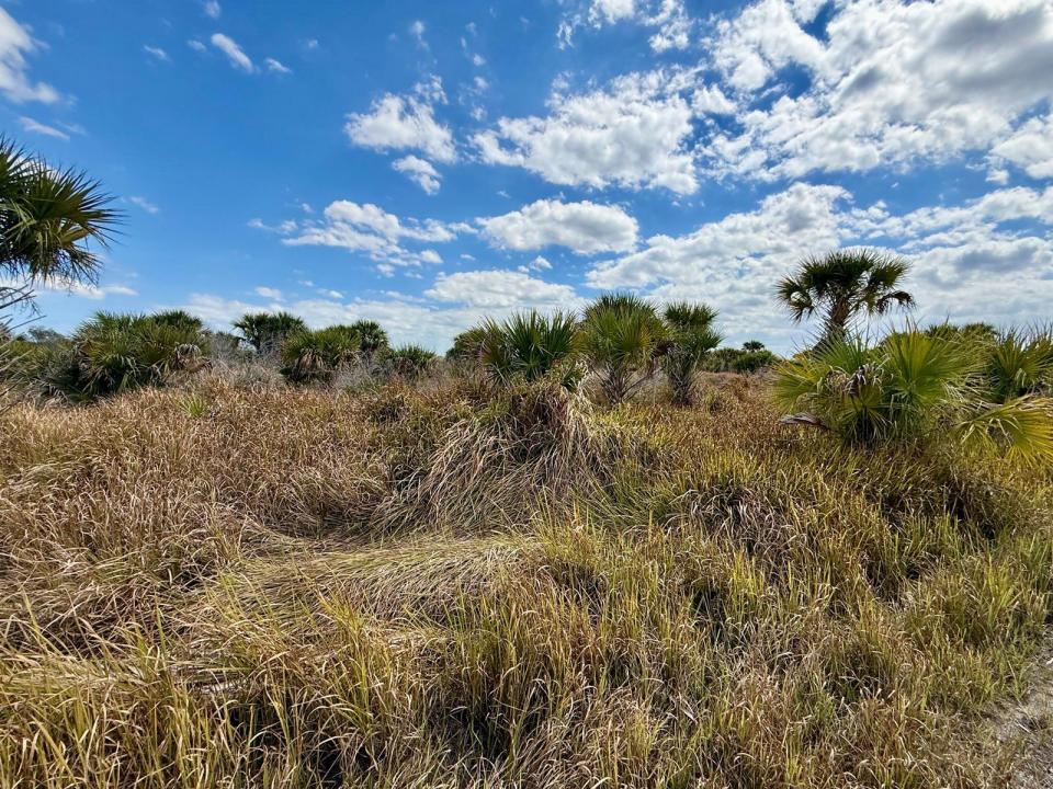 1909 Comer SW Terrace, Palm Bay, Florida 32908, Stati Uniti