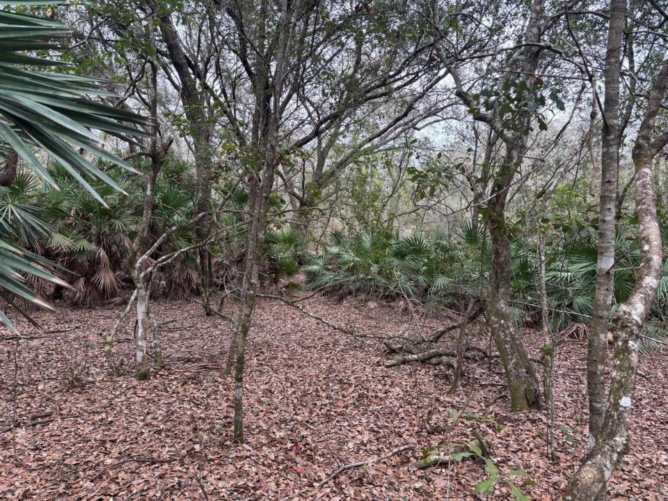 0 Old Grade Road, Florida 33868, USA