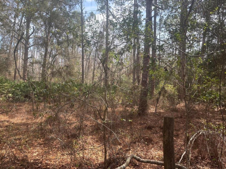 0 Old Grade Road, Florida 33868, Stati Uniti