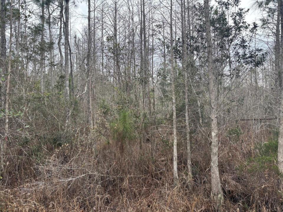0 Old Grade Road, Florida 33868, USA
