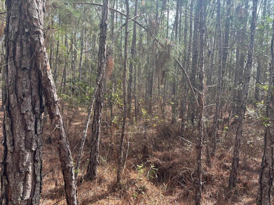 0 Old Grade Road, Floride 33868, États-Unis