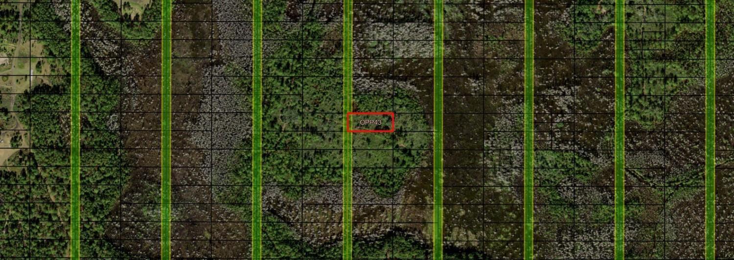 0 Old Grade Road, Florida 33868, Stati Uniti