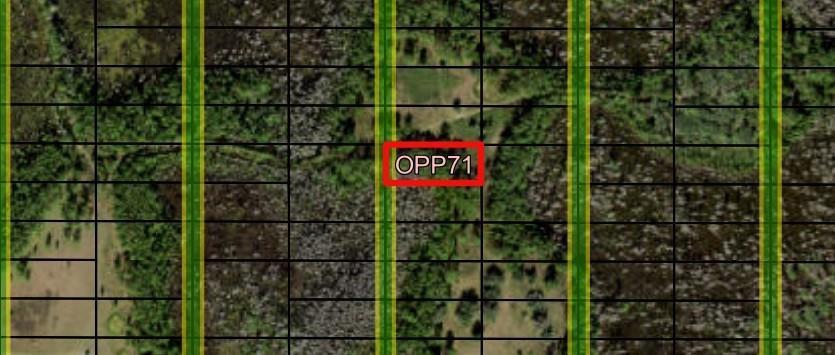 0 Old Grade Road, Florida 33868, Stati Uniti