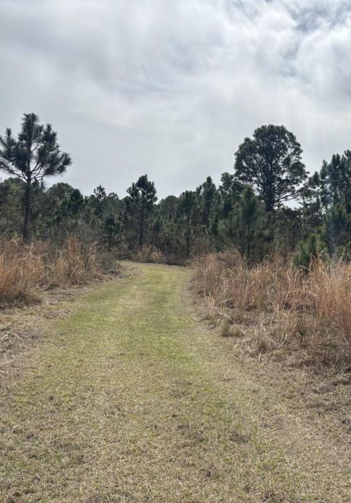0 Old Grade Road, Floride 33868, États-Unis