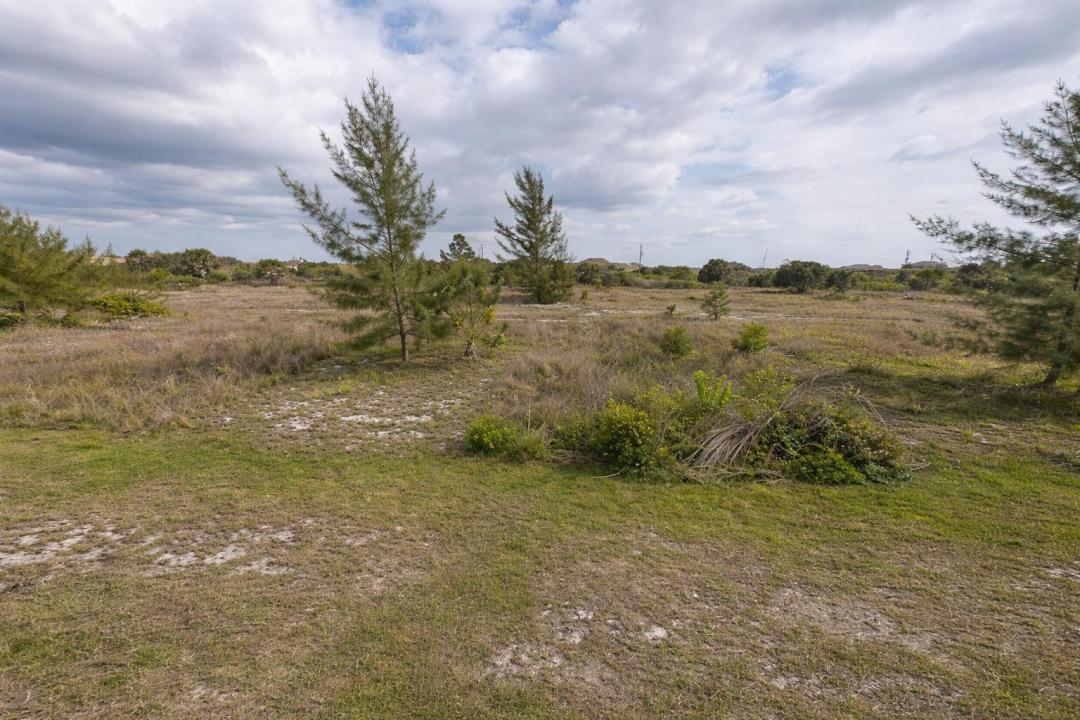 15261 Alsask Circle, Port Charlotte, Florida 33981, Stati Uniti