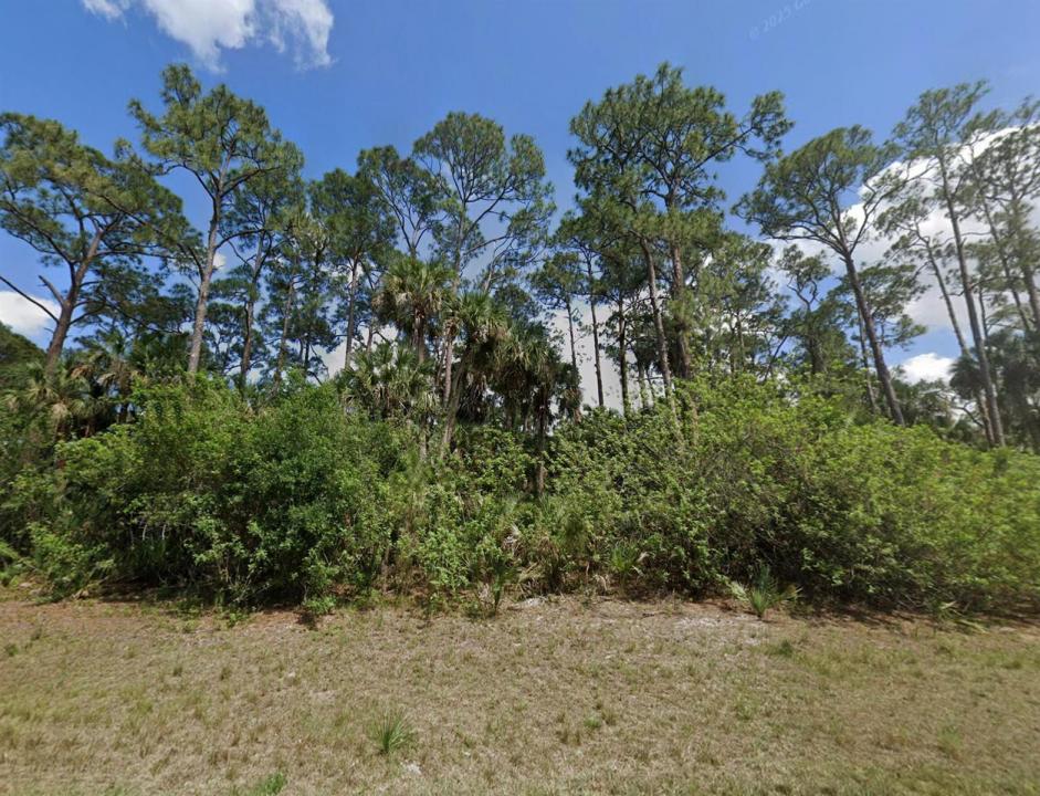 425 Skipper Terrace, Florida 33935, USA