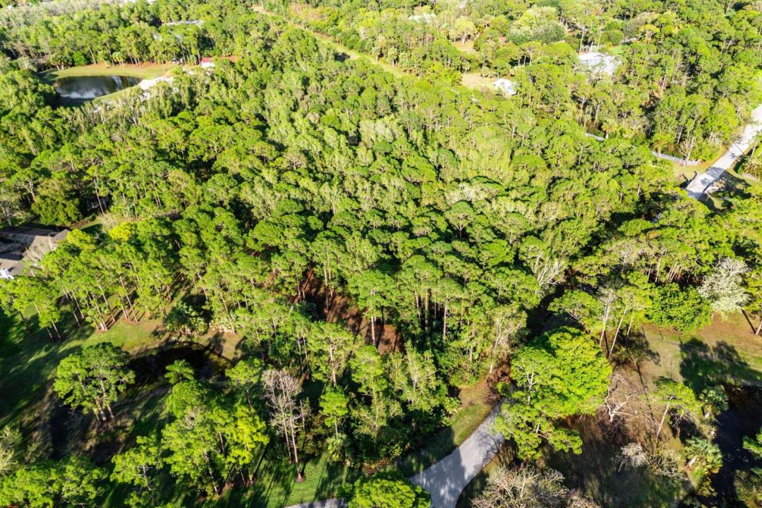 00000 Mallard Creek Drive, Palm Beach Gardens, Florida 33418, Stati Uniti