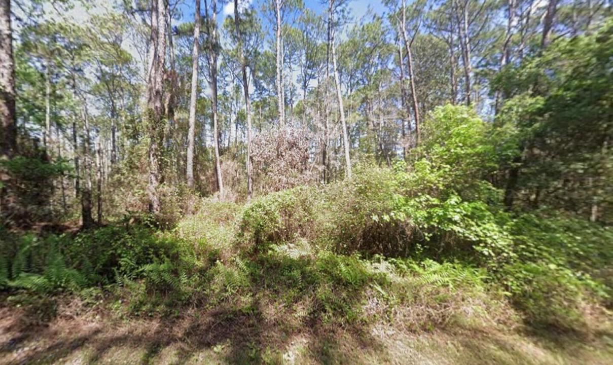 418 Palm Way, Floride 32139, États-Unis