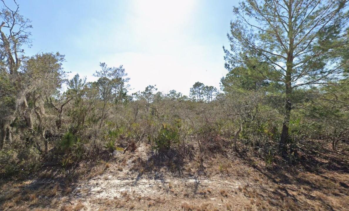 3235 N Dahlia Drive, Lake Placid, Floride 33852, États-Unis