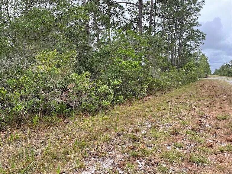 0 Bougainvillea Drive, Florida 33855, Stati Uniti
