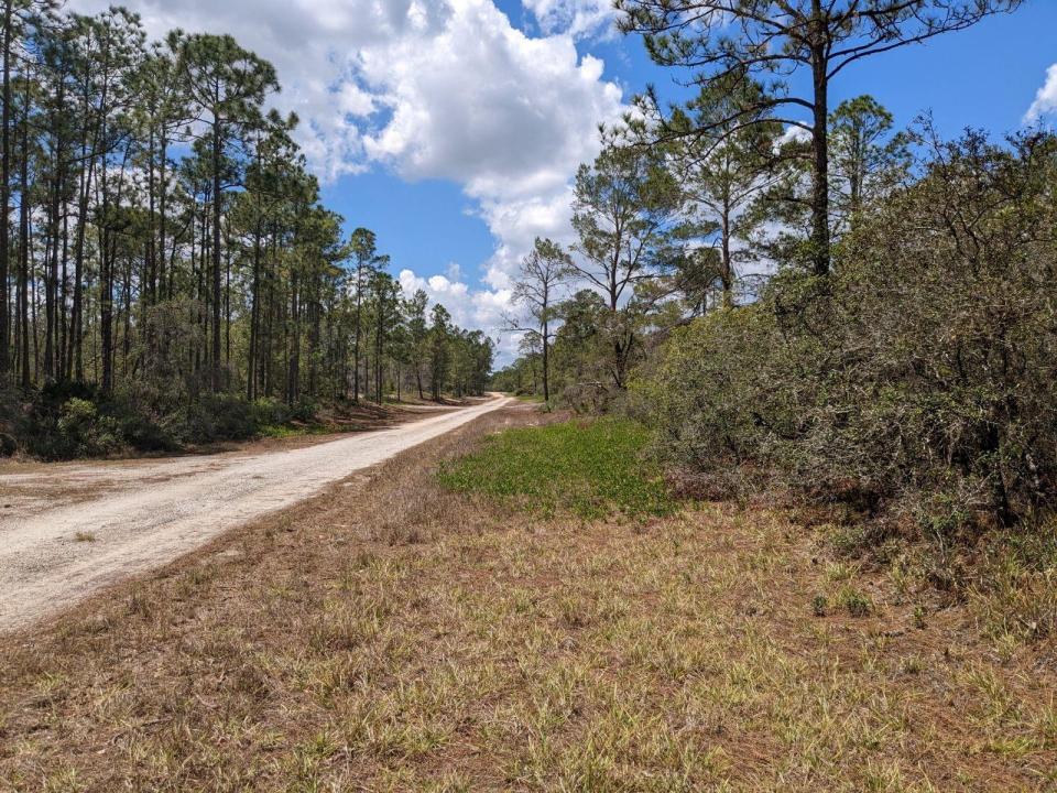 430 Apple Blossom Avenue, Lake Placid, Floride 33852, États-Unis