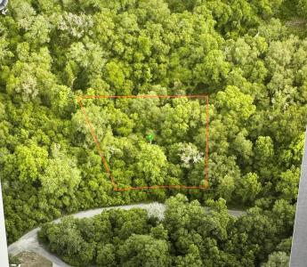 6761 E Dogwood Hammock Drive, Inverness, Florida 34453, Amerika Birleşik Devletleri