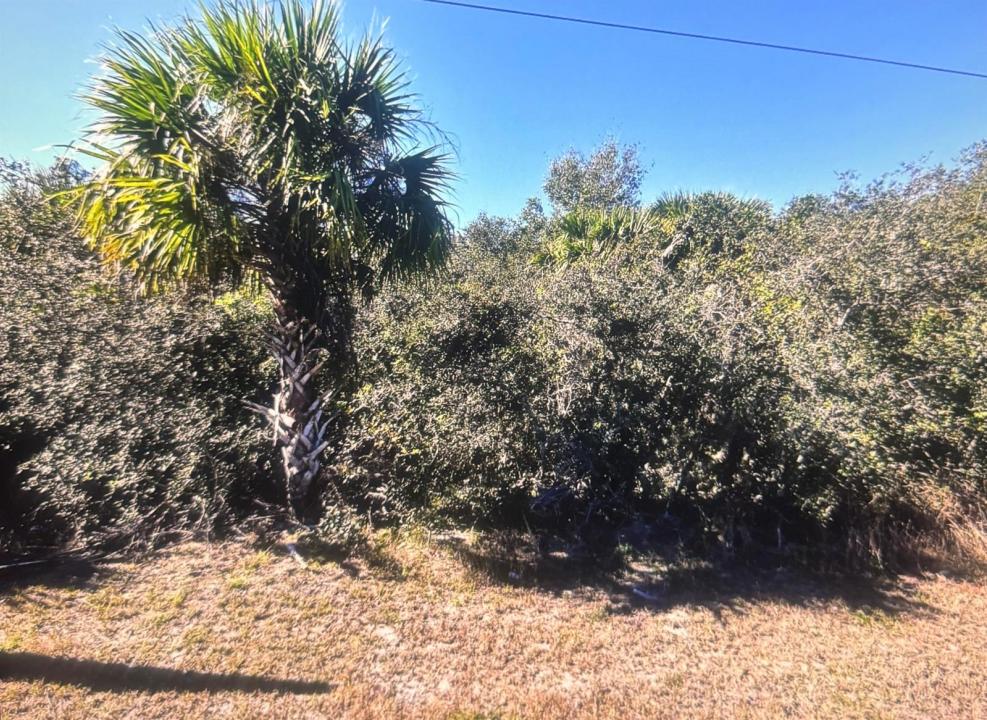 0 Old Dixie N Highway, Fort Pierce, Floride 34946, États-Unis