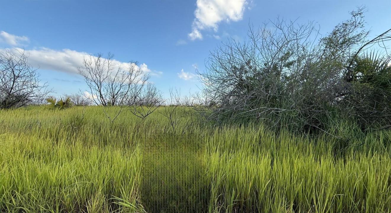 1510 Briscoe SW Circle, Palm Bay, Florida 32908, Stati Uniti