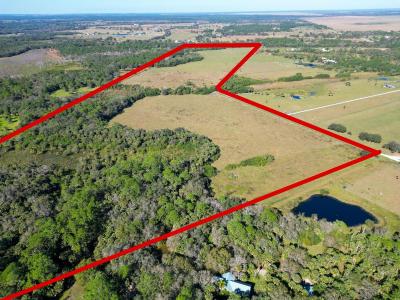 3702 SW Wild Turkey Lane, Okeechobee, Floride 34974, États-Unis