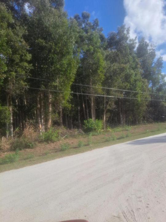 14845 62nd N Court, Floryda 33470, USA
