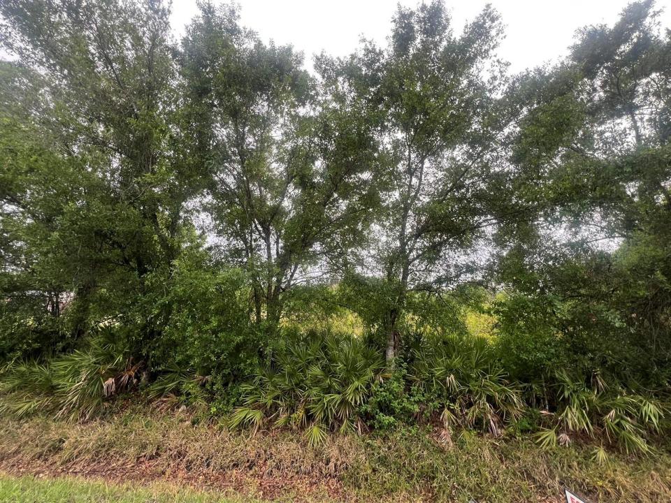 3347 NW 17th Avenue, Okeechobee, Florida 34972, USA