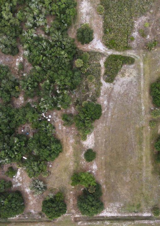 21877 NW 286th Street, Okeechobee, Florida 34972, Stati Uniti
