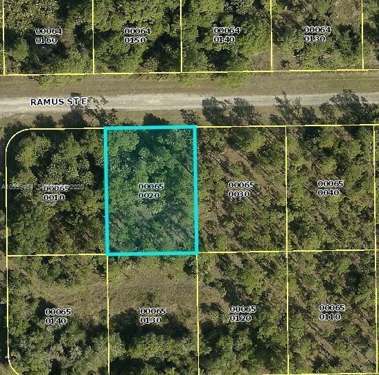 1238 Ramus E Street, Lehigh Acres, Florida 33974, Stati Uniti