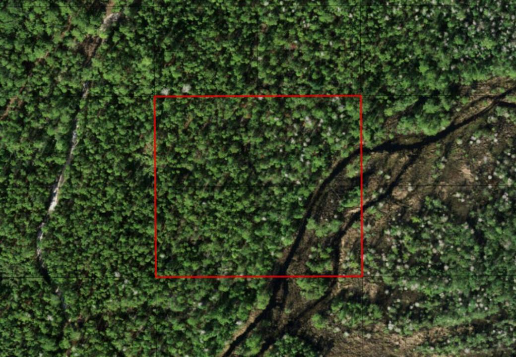 0 Holopaw Groves Road, Floride 34772, États-Unis