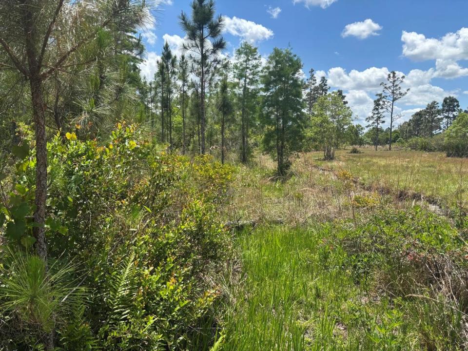 0 Holopaw Groves Road, Floride 34772, États-Unis