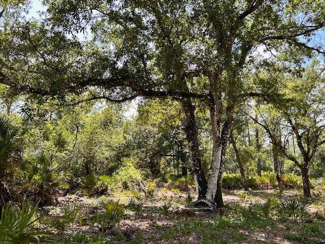 1116 Belmonte Drive, Florida 33855, Stati Uniti