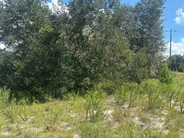 0 Shirley Street, Floride 32148, États-Unis