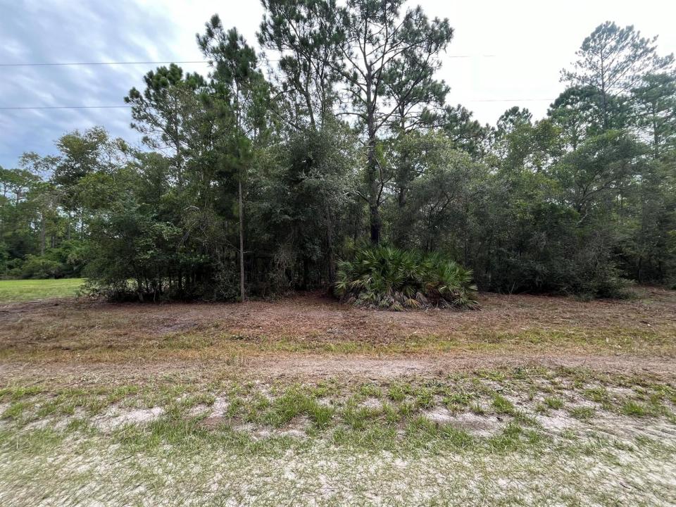 124 Glenside Street, Florida 32139, USA