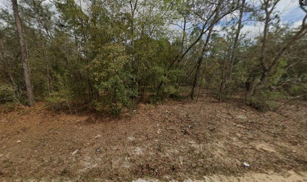 Lot 28 Janet Avenue, Floride 32148, États-Unis