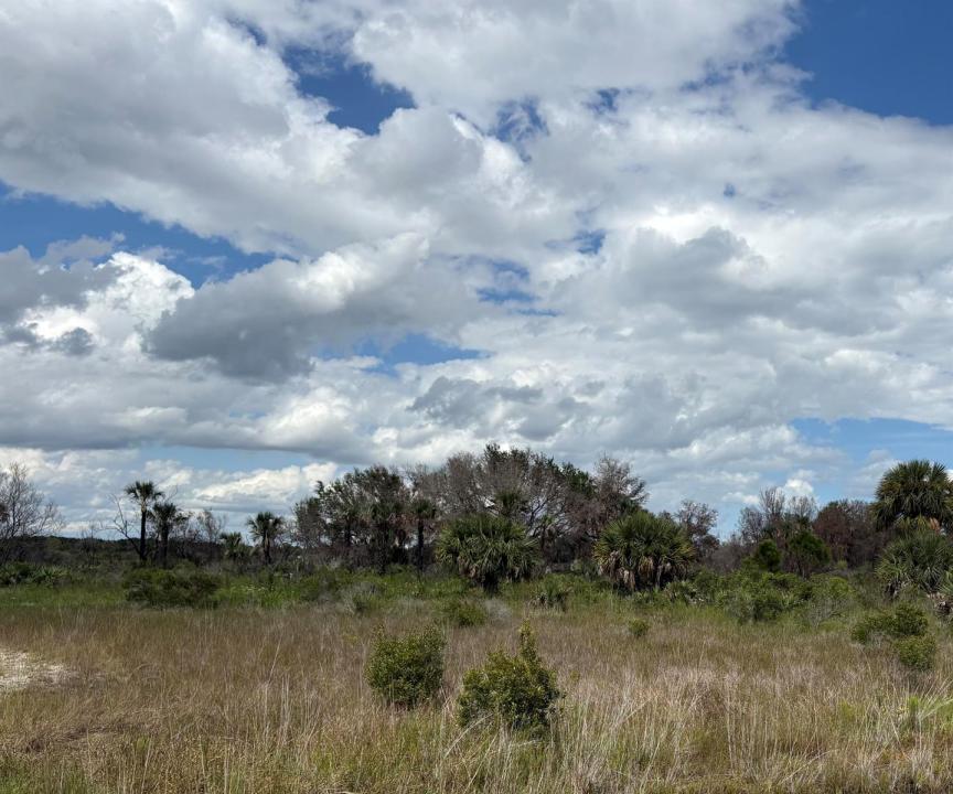 17275 NW 308th Street, Okeechobee, Floride 34972, États-Unis