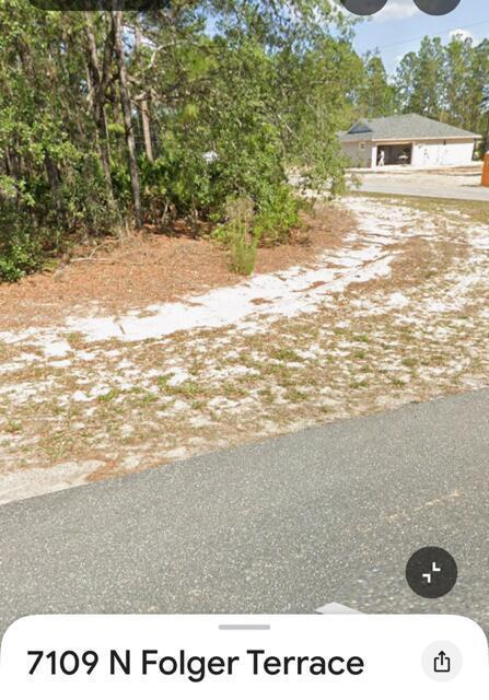 7109 N Folger Terrace, Florida 34434, Stati Uniti