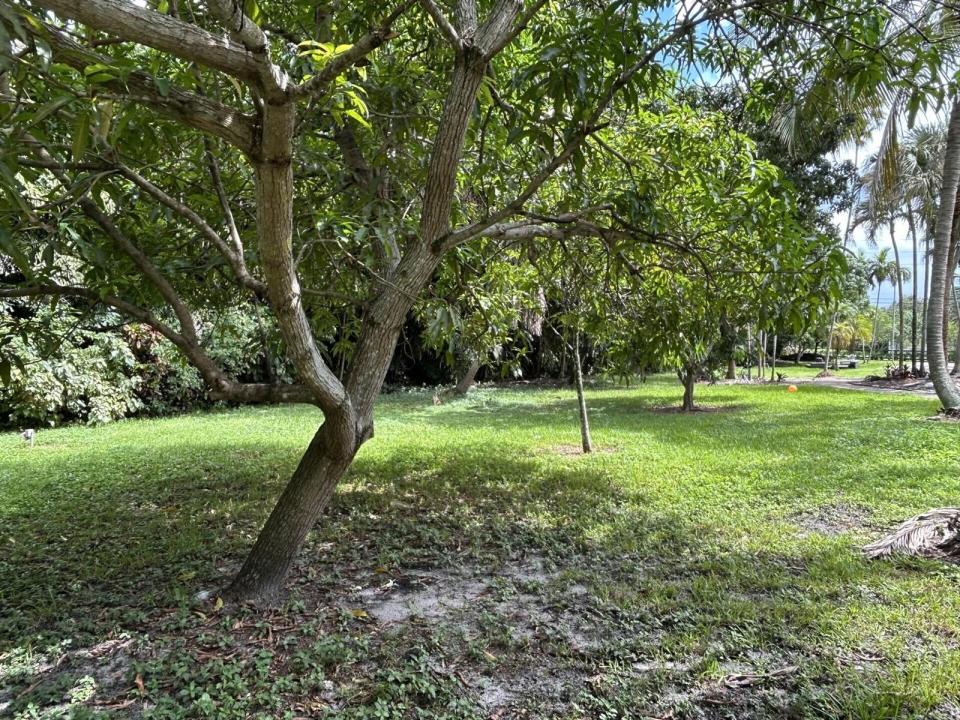 11621 NW 21st Court, Plantation, Floride 33323, États-Unis