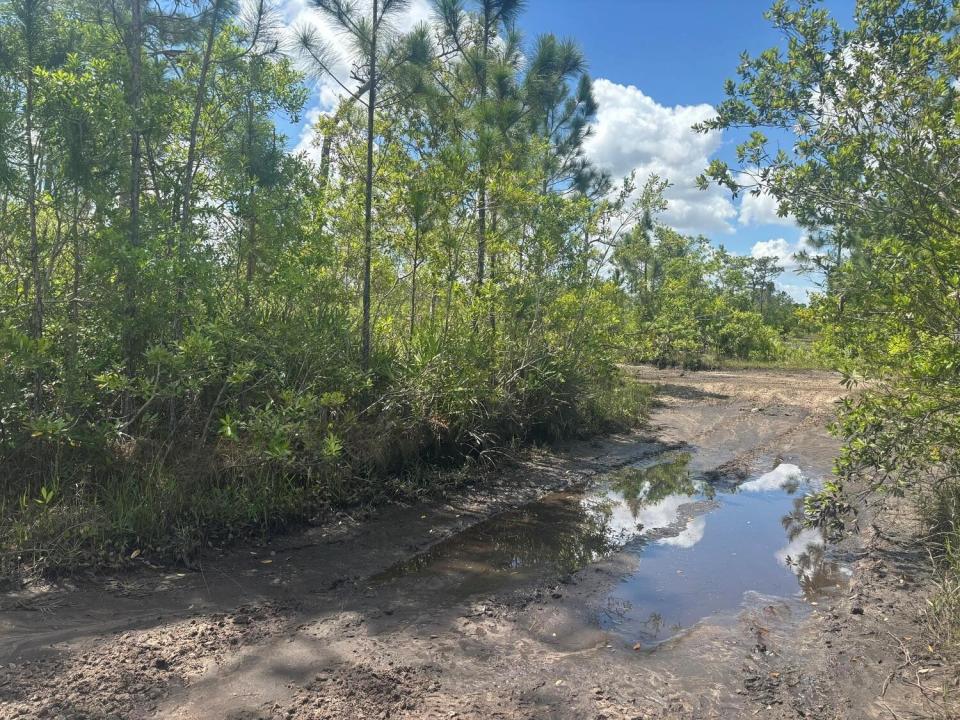 0 Holopaw Groves Road, Floride 34772, États-Unis